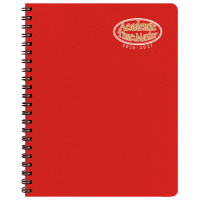 stm-20_red_copy